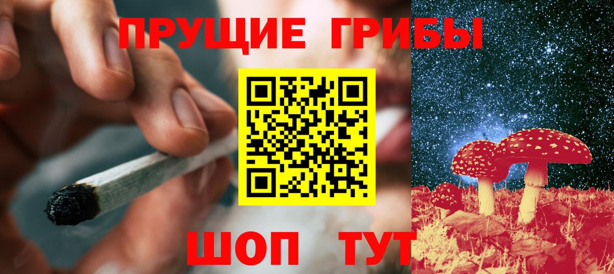 Губкинский  где купить наркоту  Вход с VPN  Псилоцибиновые грибы MAGIC MUSHROOMS 